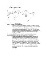 Referāts 'Atmosfēra', 12.