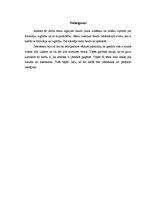 Referāts 'Izglītība un filosofija', 8.