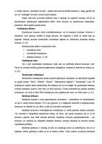 Referāts 'Reklamēšanās iespējas un izmaksas Jēkabpils masu medijos', 13.