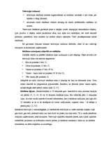 Referāts 'Reklamēšanās iespējas un izmaksas Jēkabpils masu medijos', 17.