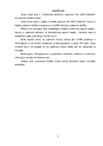 Referāts 'Sabiedriskās ēdināšanas uzņēmuma SIA „KRO kebabnīca” saimnieciskās darbības anal', 3.