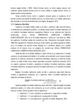 Referāts 'Sabiedriskās ēdināšanas uzņēmuma SIA „KRO kebabnīca” saimnieciskās darbības anal', 16.