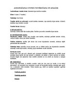 Prakses atskaite 'Pedagoģijas prakses atskaite', 13.