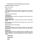 Prakses atskaite 'Pedagoģijas prakses atskaite', 14.