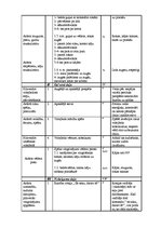 Prakses atskaite 'Pedagoģijas prakses atskaite', 46.