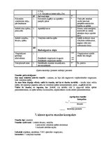 Prakses atskaite 'Pedagoģijas prakses atskaite', 57.