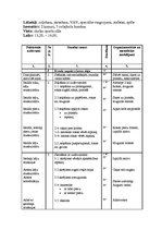 Prakses atskaite 'Pedagoģijas prakses atskaite', 60.