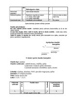 Prakses atskaite 'Pedagoģijas prakses atskaite', 67.