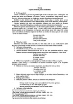 Konspekts 'Meteņi', 2.