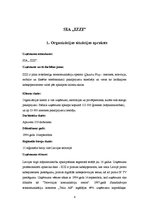 Referāts 'Iekšējās un ārējās vides ietekme uz uzņēmumu SIA "IZZI"', 4.