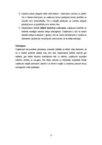 Referāts 'Iekšējās un ārējās vides ietekme uz uzņēmumu SIA "IZZI"', 17.