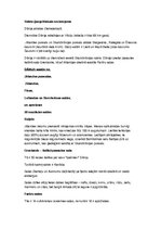 Prezentācija 'Dānija', 21.