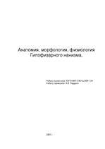 Konspekts 'Анатомия, морфология, физиология гипофизарного нанизма', 1.