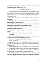 Referāts 'Atvasināto līgumu tirgus', 15.