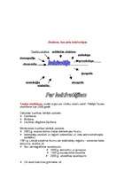 Konspekts 'Demogrāfija', 1.