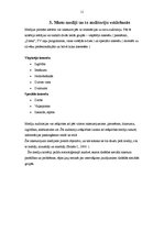 Referāts 'Masu komunikācijas', 9.