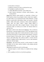 Referāts 'Publicistikas stila maiņa kino aprakstos', 12.