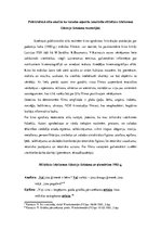 Referāts 'Publicistikas stila maiņa kino aprakstos', 30.