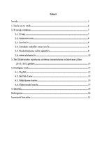 Referāts 'E-izsoles', 1.