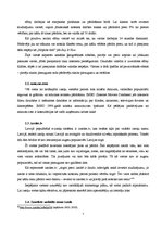 Referāts 'E-izsoles', 7.