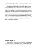 Referāts 'Biznesmeņa profesionālā ētika', 3.