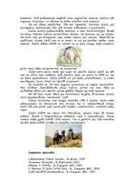 Referāts 'Ziloņi', 9.