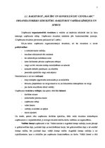 Prakses atskaite 'Prakses atskaite', 7.