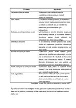 Prakses atskaite 'Prakses atskaite', 17.