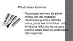 Prezentācija 'Dažāda materiāla ķemmes un sukas', 2.