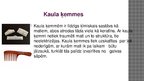 Prezentācija 'Dažāda materiāla ķemmes un sukas', 4.