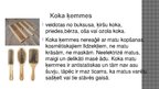 Prezentācija 'Dažāda materiāla ķemmes un sukas', 5.