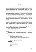 Referāts 'Zaļās enerģijas ražošanas un izmantošanas iespējas', 5.