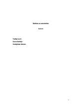 Referāts 'Reklāma un autortiesības', 1.