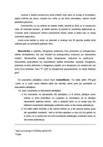 Referāts 'Reklāma un autortiesības', 10.