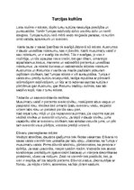 Eseja 'Turcijas kultūra', 1.