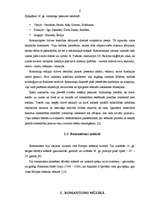 Referāts 'Romantisms vācu mūzikā', 6.