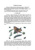 Referāts 'Tauriņi', 3.