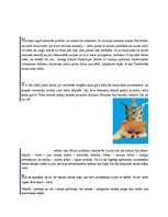 Eseja 'Pasaka par Lielo Lāci', 2.