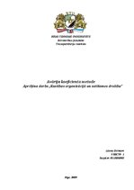 Paraugs 'Satiksmes drošība. Avārijas koeficienta metode', 1.