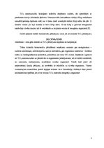 Referāts 'Biomateriāli uz titāna oksīda keramikas bāzes', 8.