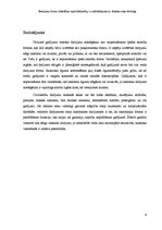 Eseja 'Darījuma formu dažādības nepieciešamība, to salīdzinājums no tiesisko seku viedo', 8.