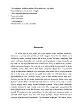 Referāts 'Nicas līgums', 5.