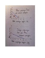 Konspekts 'Mājas darbs mikroekonomikā', 15.