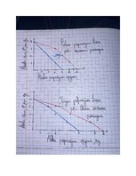 Konspekts 'Mājas darbs mikroekonomikā', 18.