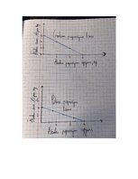 Konspekts 'Mājas darbs mikroekonomikā', 21.