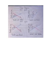 Konspekts 'Mājas darbs mikroekonomikā', 33.