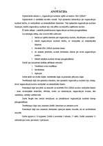 Diplomdarbs 'Organizācijas kultūras izpēte SIA "Likra"', 3.