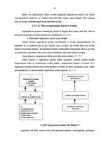 Diplomdarbs 'Organizācijas kultūras izpēte SIA "Likra"', 15.