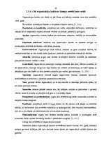 Diplomdarbs 'Organizācijas kultūras izpēte SIA "Likra"', 27.