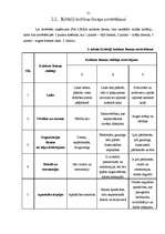 Diplomdarbs 'Organizācijas kultūras izpēte SIA "Likra"', 32.